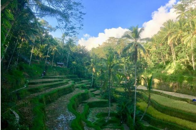 Самые интересные места на Бали